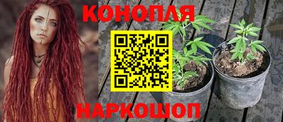 ешки Будённовск