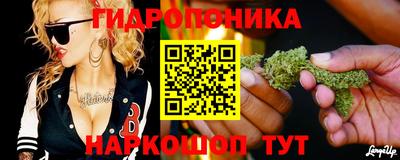 ешки Будённовск