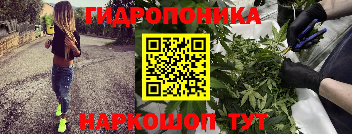Марихуана план  МАРИХУАНА индика  Вход с VPN  Советский  МАРИХУАНА ГИДРОПОН  Каннабис AK-47 